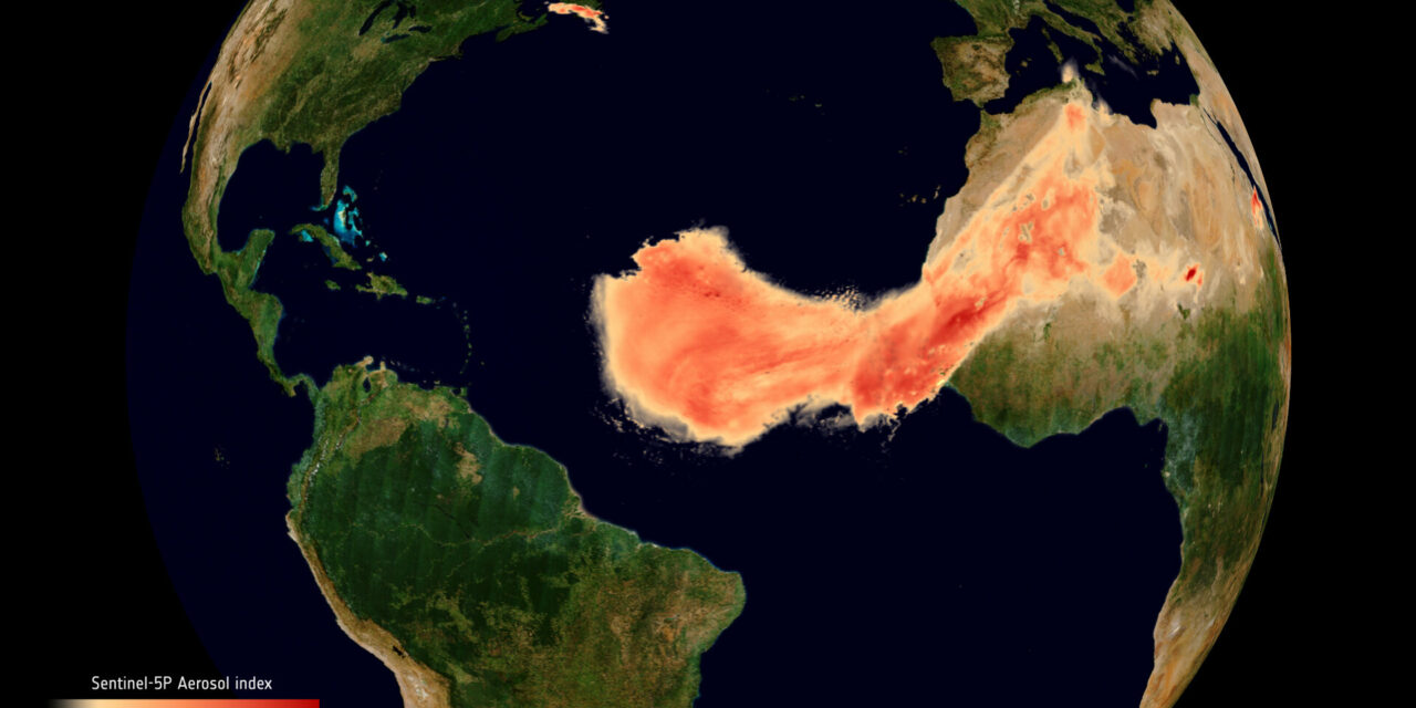 Il viaggio di Godzilla verso l’America