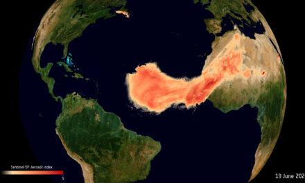 Il viaggio di Godzilla verso l’America