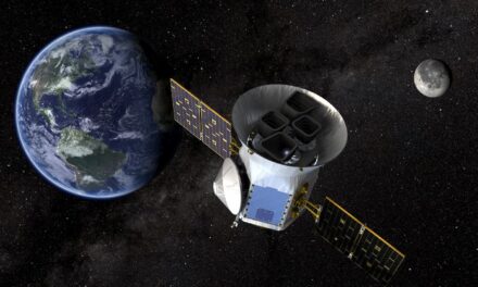 Tess porta a casa la prima missione