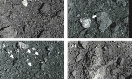 Il passato turbolento di Ryugu