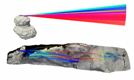 La cometa dal cuore di spugna