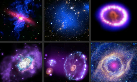 Meraviglie cosmiche in posa per Chandra