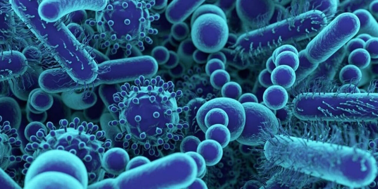 Viaggiatori spaziali? Più in salute grazie al microbiota