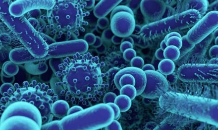 Viaggiatori spaziali? Più in salute grazie al microbiota