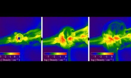 Tracce dell’universo primordiale nei fossili stellari