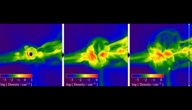 Tracce dell’universo primordiale nei fossili stellari