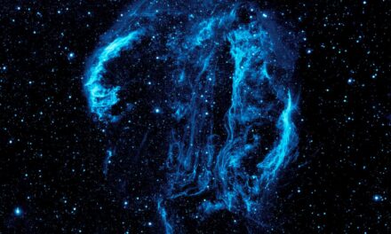 Il canto radio del Cygnus