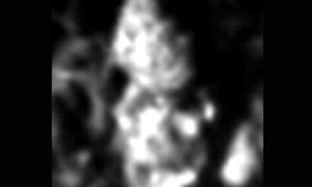 La cometa soffice di Philae