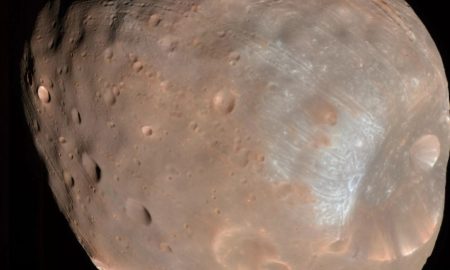 A 'caccia' di campioni con una nuova tecnologia