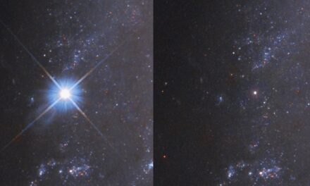 Una supernova in calo