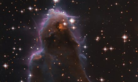 Hubble, una culla stellare coi fiocchi