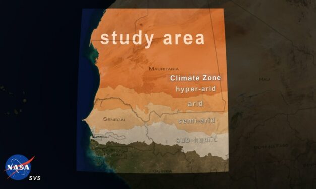 Una mappatura degli alberi per ricercare il carbonio