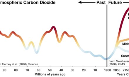 Il clima del futuro? La chiave è nel passato