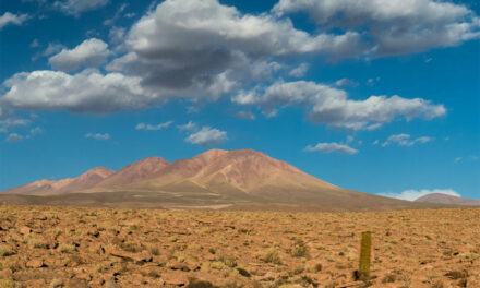 Vita su Marte? La risposta nel deserto di Atacama