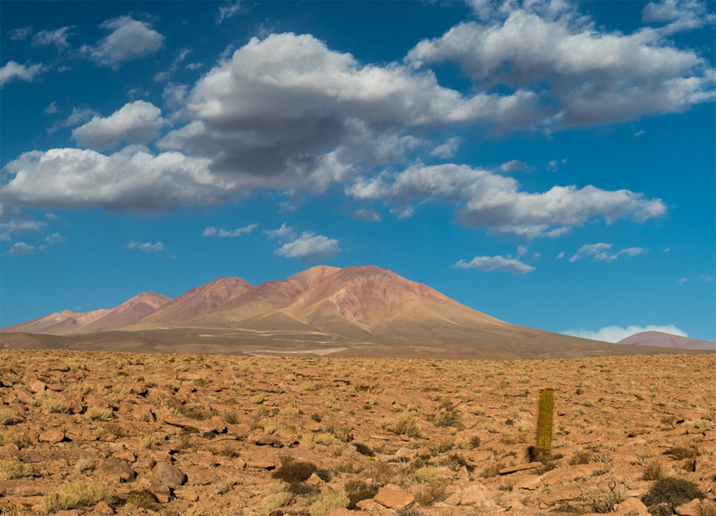 Vita su Marte? La risposta nel deserto di Atacama