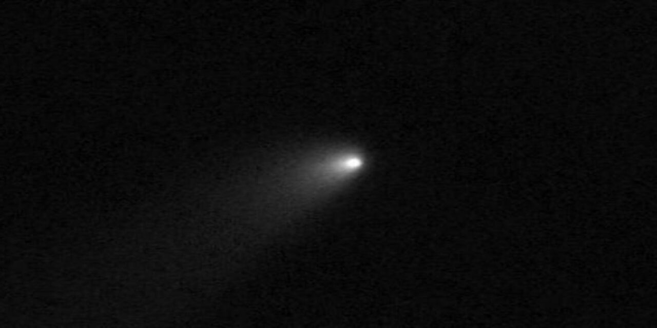 Atlas, una cometa incontaminata 