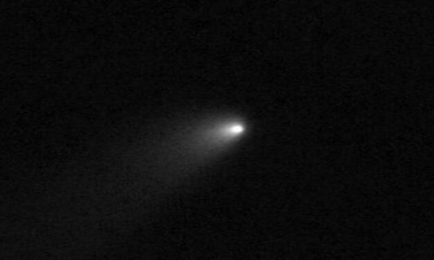 Atlas, una cometa incontaminata 