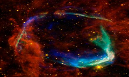 Tre tipi di neutrini forniscono indizi sulla morte delle stelle