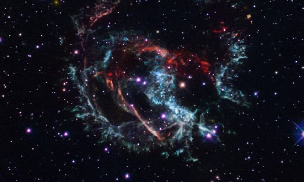 Astronomi ‘detective’ per una supernova