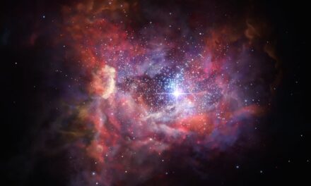 Le galassie polverose dell’universo bambino