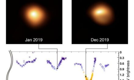 Betelgeuse, nuove ipotesi sulla gigante oscurata