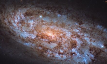 Una fucina stellare per Hubble