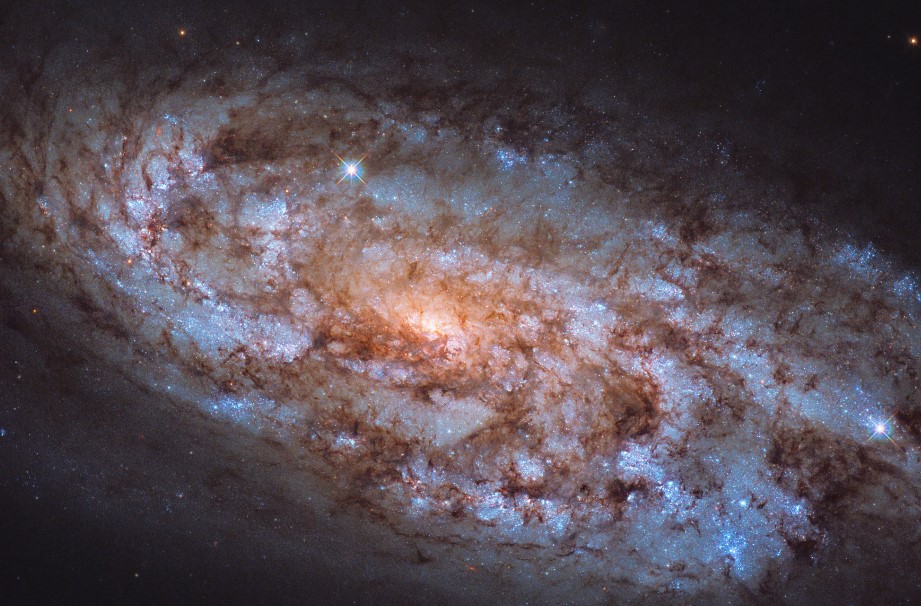 Una fucina stellare per Hubble