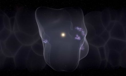Il sistema solare in una bolla costellata di stelle