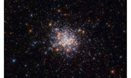 Individuate stelle apparentemente più giovani negli ammassi stellari