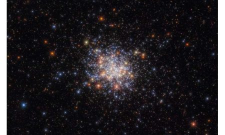 Individuate stelle apparentemente più giovani negli ammassi stellari