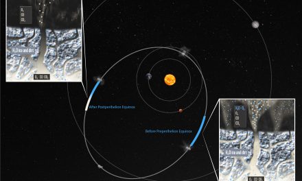 Le stagioni di una cometa