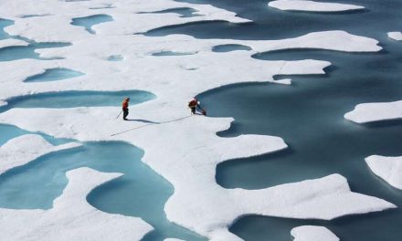 Drastico assottigliamento dei ghiacci marini artici rilevato da ICESat-2