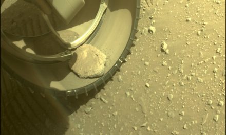 Roccia incastrata in una ruota di Perseverance
