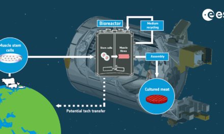 Carne coltivata nella dieta Esa per lo spazio profondo