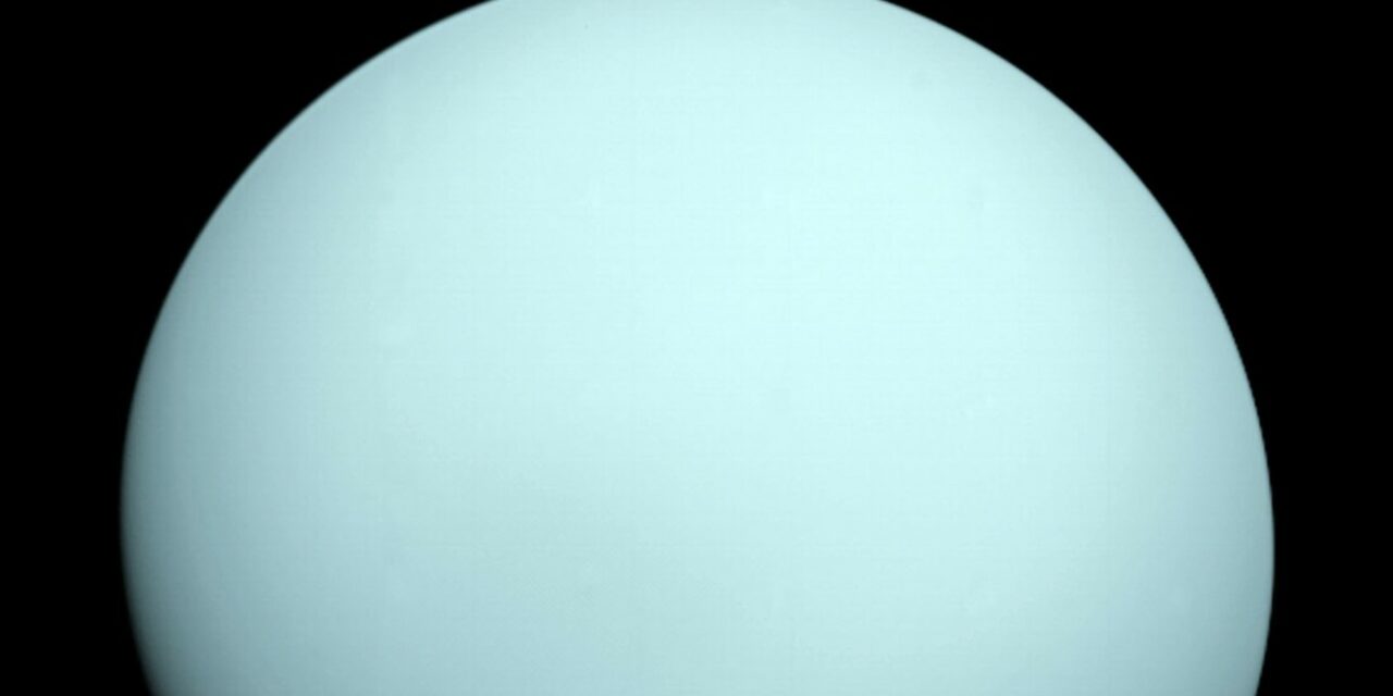 Prossima meta, Urano
