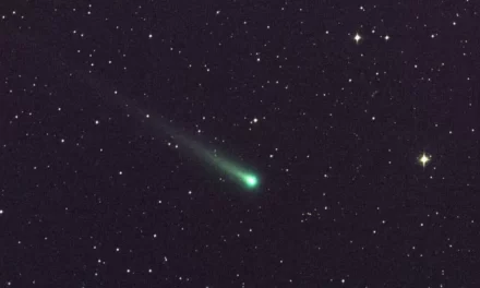 Le comete svaniscono anche al di là dei confini del sistema solare