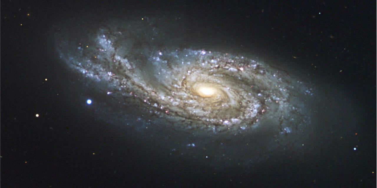 Le galassie starburst dell’Universo primordiale