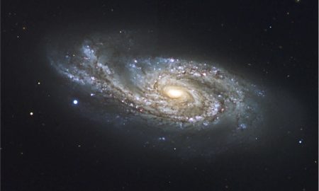 Le galassie starburst dell'Universo primordiale
