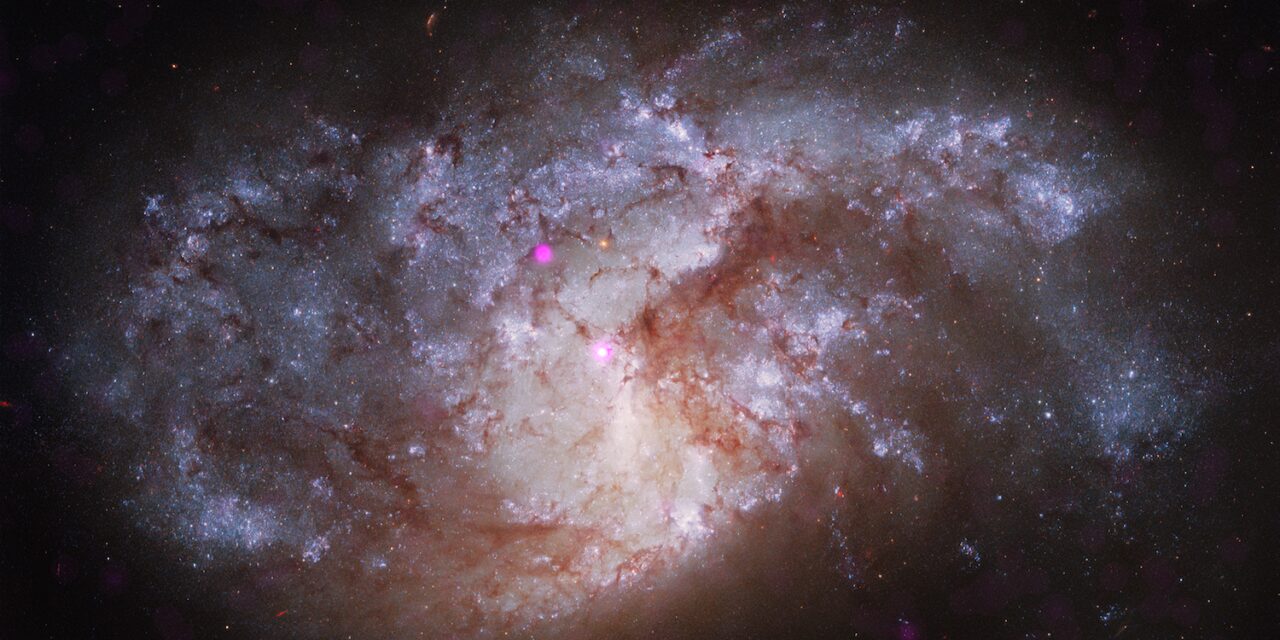 Lo sguardo di Chandra sui buchi neri più famelici