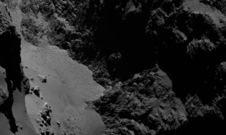 Rosetta Zoo, i cittadini scienziati alla scoperta della cometa 67P