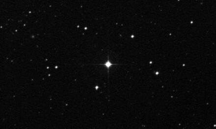 Una stella ad alto tasso chimico