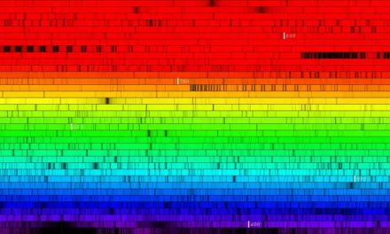 Sole, più metalli e ossigeno confermano fenomeni stellari