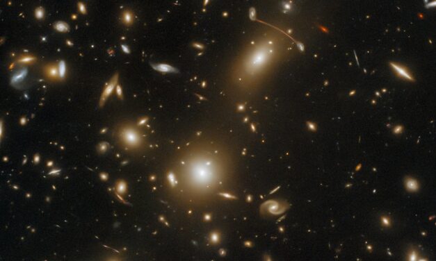 Un ammasso ‘extra large’ per Hubble