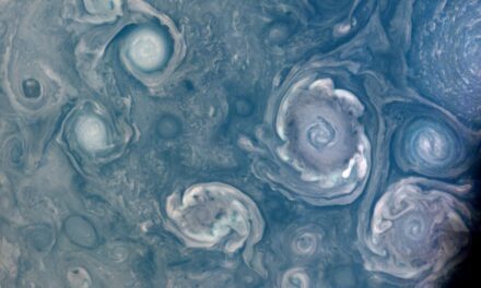 Vortici gioviani in posa per Juno