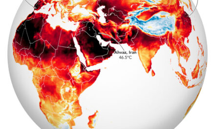 Roventi ondate di calore: battuti record di lunga data