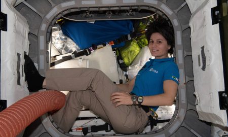Muscoli e nervi nello spazio, istruzioni per l'uso