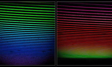 Profilo di una stella in stile op art