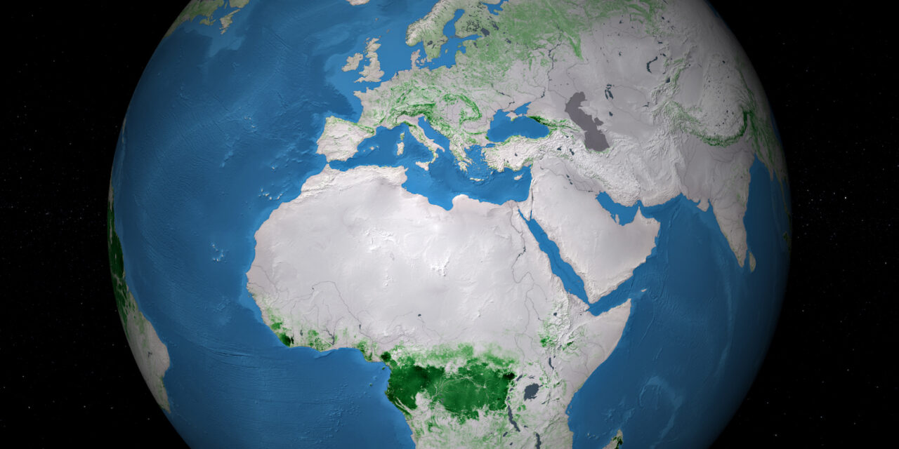 In 60 anni il 60% in meno di foresta globale pro capite