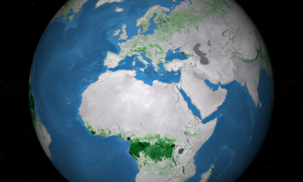 In 60 anni il 60% in meno di foresta globale pro capite