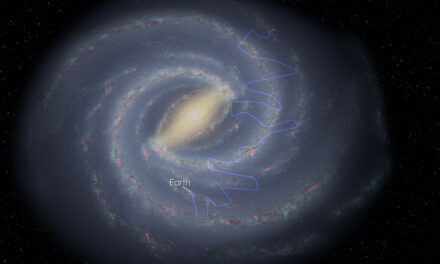 Protoni ad alta energia nella nostra galassia? Identikit di un residuo di supernova